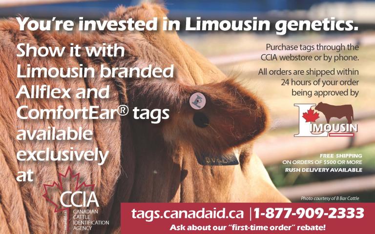 CCIA Limousin Tags Advertisement