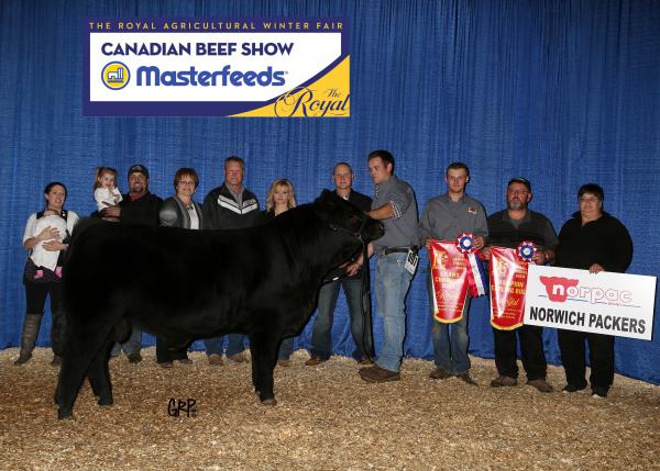 RCL Wind Chill 8B Grand Champion Bull Royal Agricultural Winter Fair