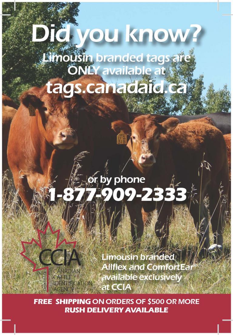 2019 12 04 Post Card for CDN Limousin Did you know Page 1