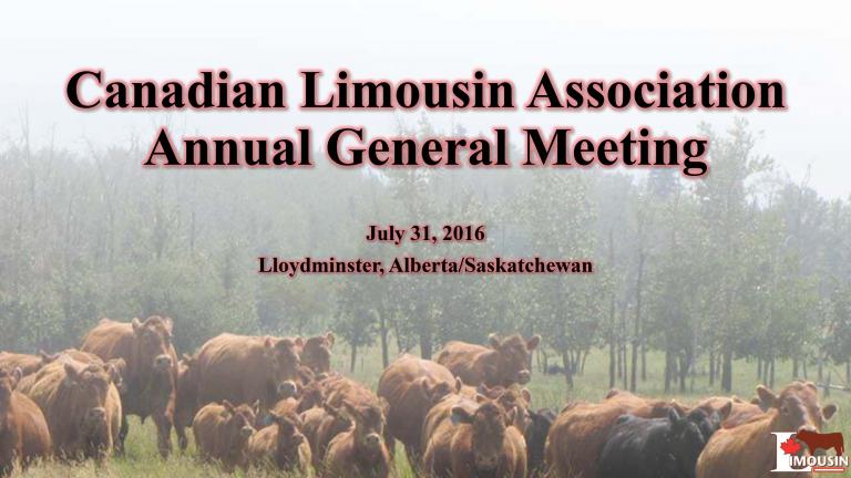 Canadian Limousin Association General Managers 2016 AGM Presentation Cover Photo